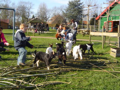 Vertrouwen opbouwen op de kinderboerderij