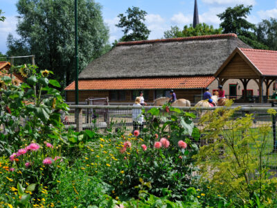 Kinderboerderij in Jeugddorp De Glind